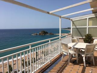 Aiguaneu Sa Marina - 0