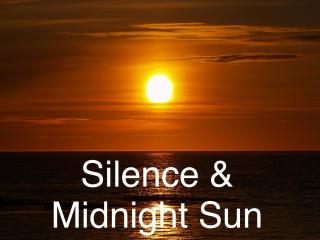 Lofoten Bay View - 8