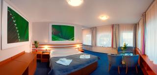 Hotel Air - Holíč - 3