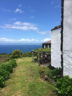 CASA DO CASTANHEIRO - Santo Antonio - 9