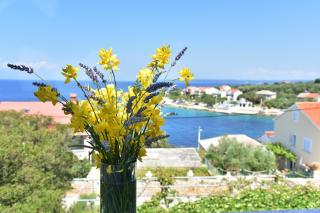 Apartmani Badurina - Maslina - 9