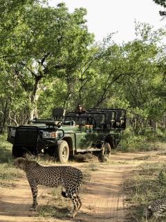 Karongwe Portfolio- Shiduli Private Game Lodge - Hoedspruit - 0