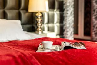 Berberys Park Hotel - Kazimierz Dolny - 6