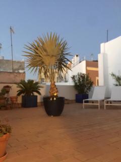 La terraza de San Pedro - 0
