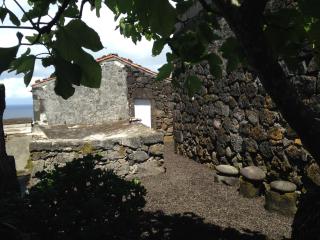 CASA DO CASTANHEIRO - Santo Antonio - 5
