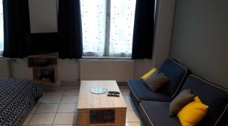 Grand studio proche du centre ville - 4