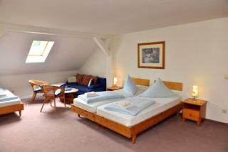 Pension Bloo Tomato - Zittau - 5
