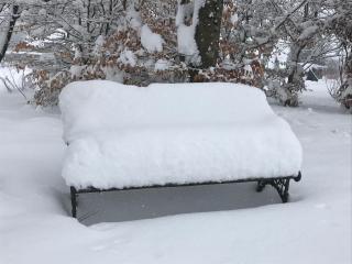 "Un matin au jardin" - Francorchamps - 7