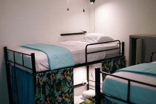 NATIVUS Art-Hostel - San José - 4