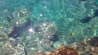 Family friendly seaside apartments Sevid, Trogir - 14790 - 1