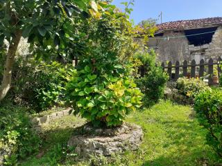 Casa Llorente - 6