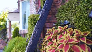 Chin Shue B&B - Guanshan - 5
