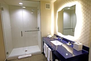 Hotel Indigo Naperville Riverwalk by IHG - Naperville - 4