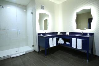 Hotel Indigo Naperville Riverwalk by IHG - Naperville - 3