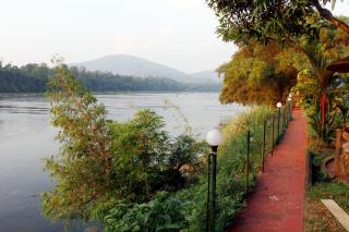 Elephant Pass Ayurveda & Yoga Retreat - Malayāttūr - 4