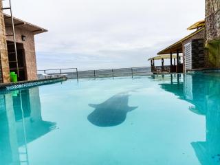 Ging-Ging Hotel And Resort - 1