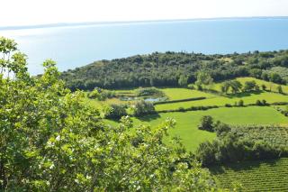 Agriturismo La Filanda - Manerba del Garda - 7