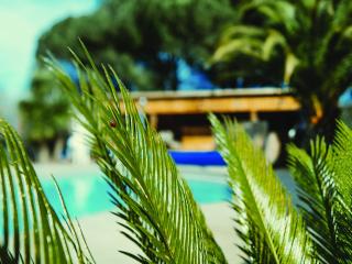 La Belle Landaise 1809 Gîte Arridoulet 2 - 9