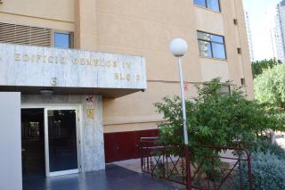 GEMELOS IV Loysan apt. with pool - Benidorm - 3