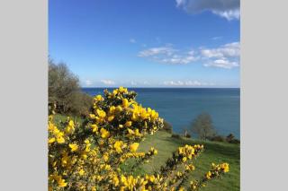 Stylish, large family cottage with views, garden - Dartmouth - 5