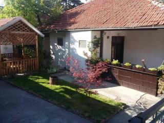 Kuca za odmor Ana, Sokobanja - 6