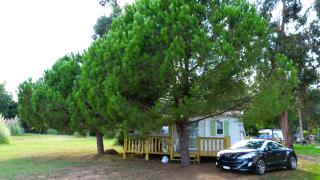Camping Miami plage - Poggio-Mezzana - 6