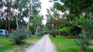 Camping Miami plage - Poggio-Mezzana - 7