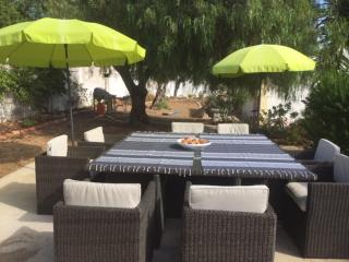Casa Mimosa - São Brás de Alportel - 4