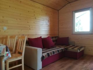 Domki Pod Wiązem Solina 20 - Solina - 9