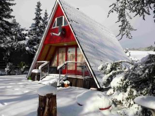 Eifeler Finnhaus mit Sauna, Mühlenberg 13 - 8