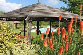 Puesto Potrillos - 7