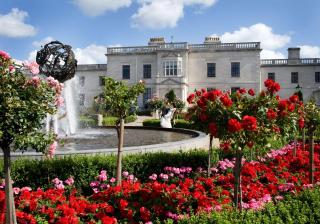 Radisson Blu St. Helen's Hotel - Stillorgan - 8