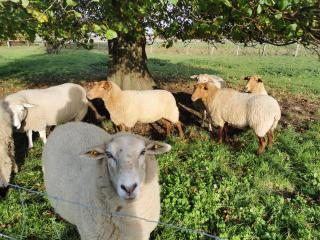 Ferienhof Stobbe - Grube - 7