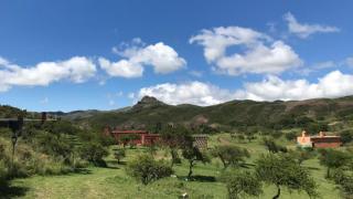 Raíces Ongamira - Ongamira - 5