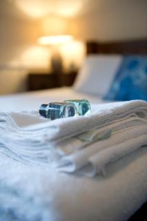 Springfield guest house - Tain - 1