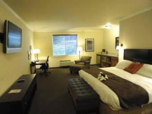 Best Western Wesley Inn & Suites - Gig Harbor - 3