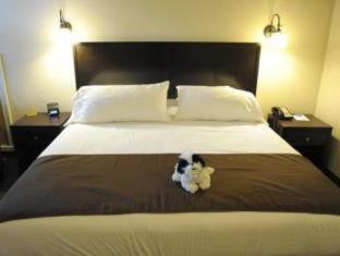 Best Western Wesley Inn & Suites - Gig Harbor - 2