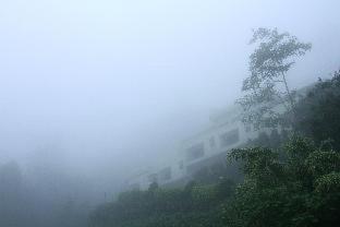 Blackwood Hotel - Haputale - 5
