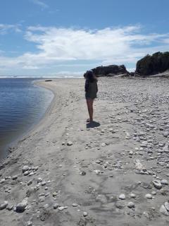 Beach front cottage - 4