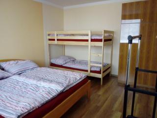 Apartmán Špičák - Jiřetín pod Bukovou - 8