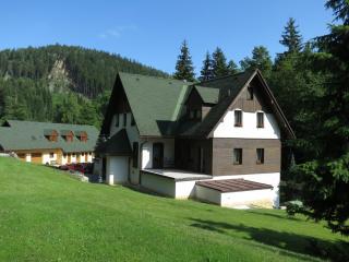 Pension Skály - Teplice nad Metují - 1