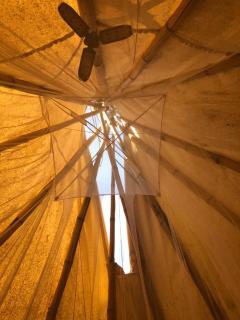 Bees Mouth Gambia - 5