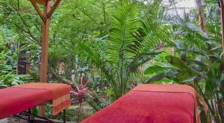 Le Parc aux Orchidées - 8