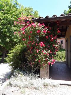 LaPorcilaia - Bagnoregio - 7