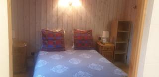GRAND CHALET DU BOREON - 5