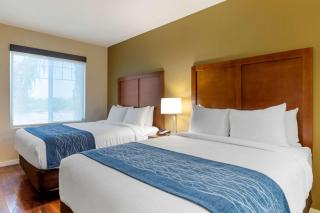 Comfort Inn & Suites Near Ontario Airport - Ontario - 7