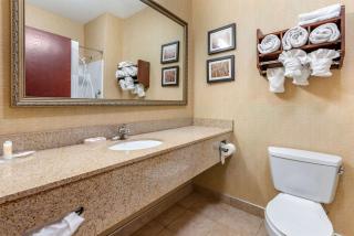 Comfort Suites South - Elkhart - 3