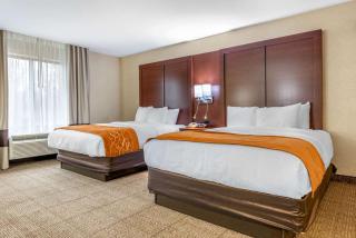 Comfort Suites Elkhart South - 2