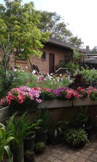 Marlin Cottage - Chintsa - 9