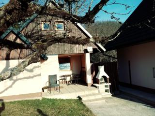 apartma HIŠKA KOROŠEC - 0